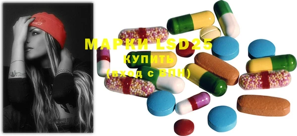 индика Каменск-Шахтинский