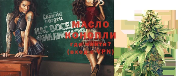 индика Каменск-Шахтинский